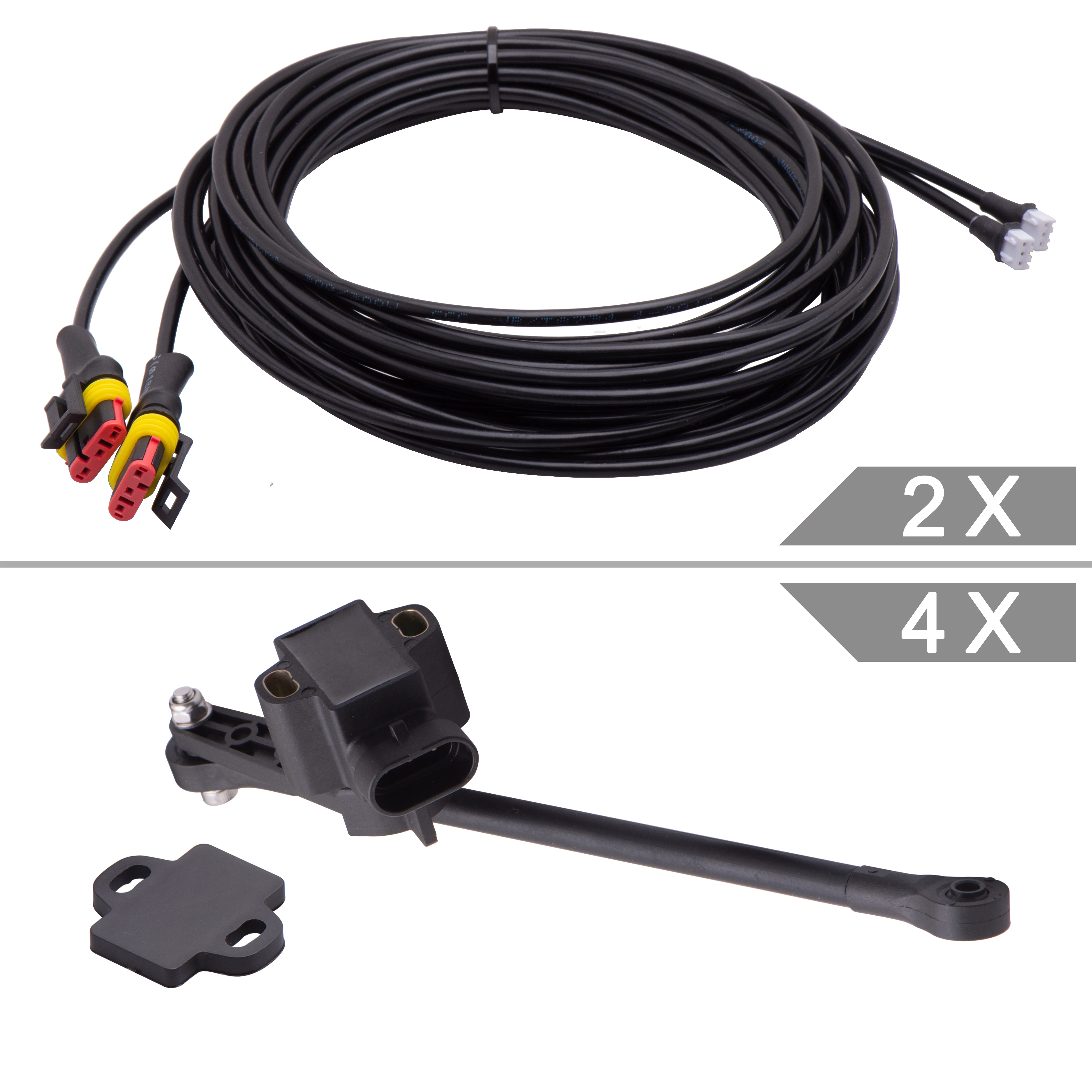 Car Electronics - Sistema di Gestione Elettronica delle Sospensioni